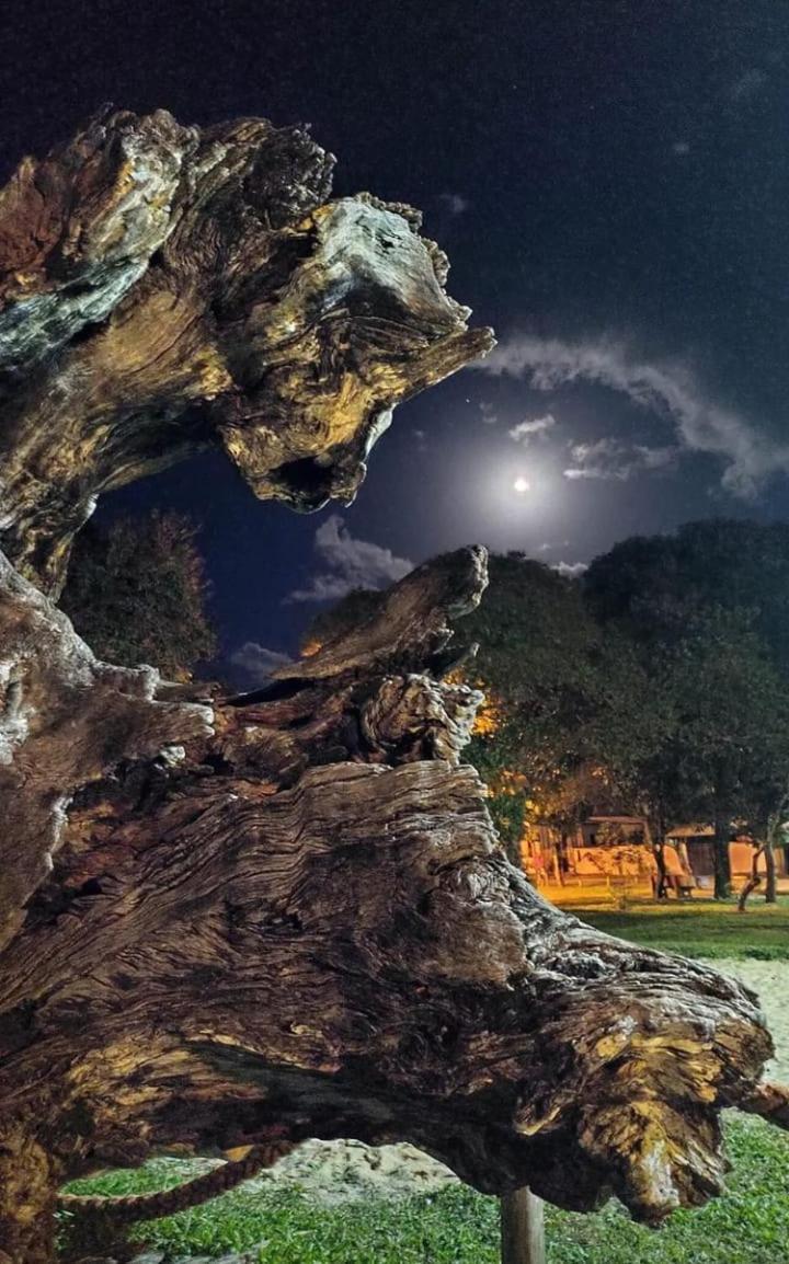 Pousada Vila Morena Itaunas  Buitenkant foto